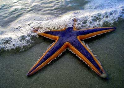 Blog Alonso Fierro